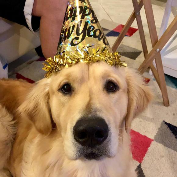 Meet your Posher, Stephen - Picture 1 of 1